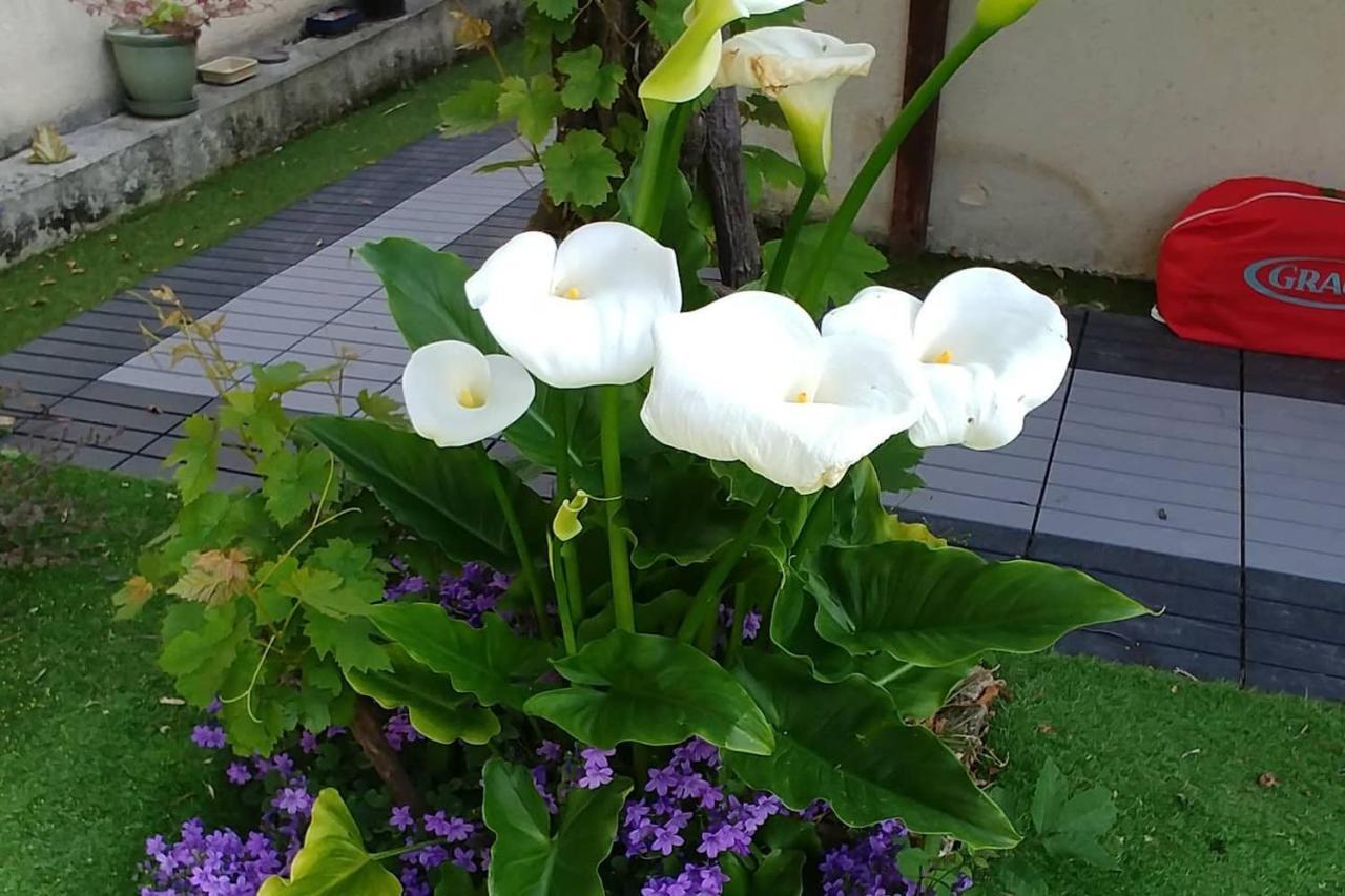 Great Family House, 80 M To The Sea, In Normandie Villa Hermanville-sur-Mer Luaran gambar